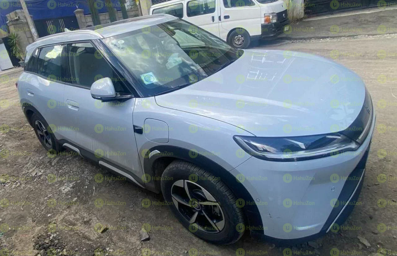 2025 Model-BYD Yuan Up