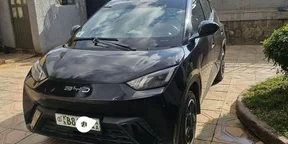 2024 Model-BYD Seagull