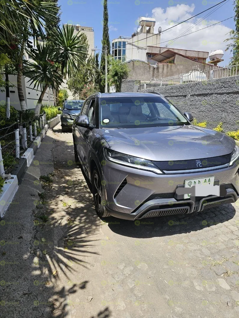 2024 Model-BYD Yuan Up