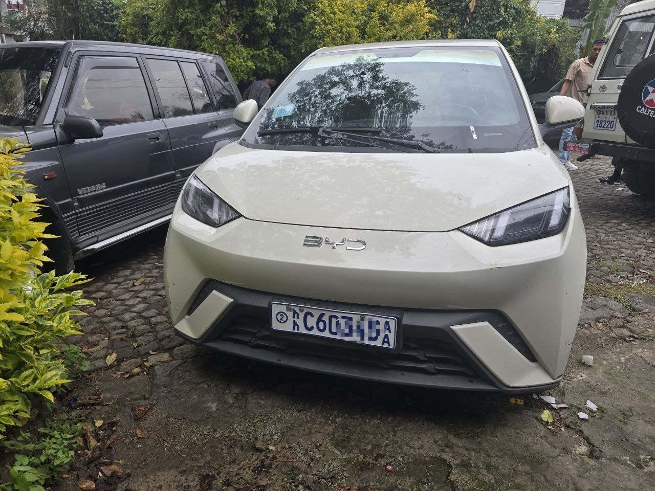 2008 Model-BYD Seagull