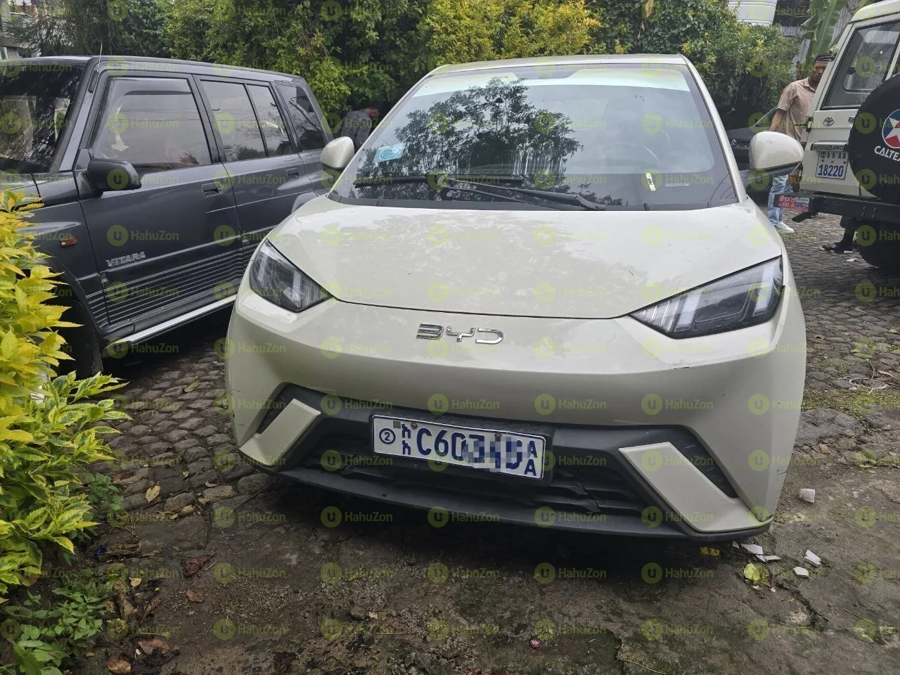 2008 Model-BYD Seagull