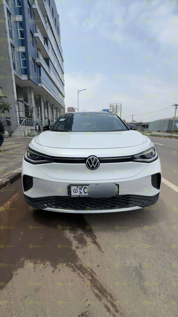 2022 Model-BYD Seagull