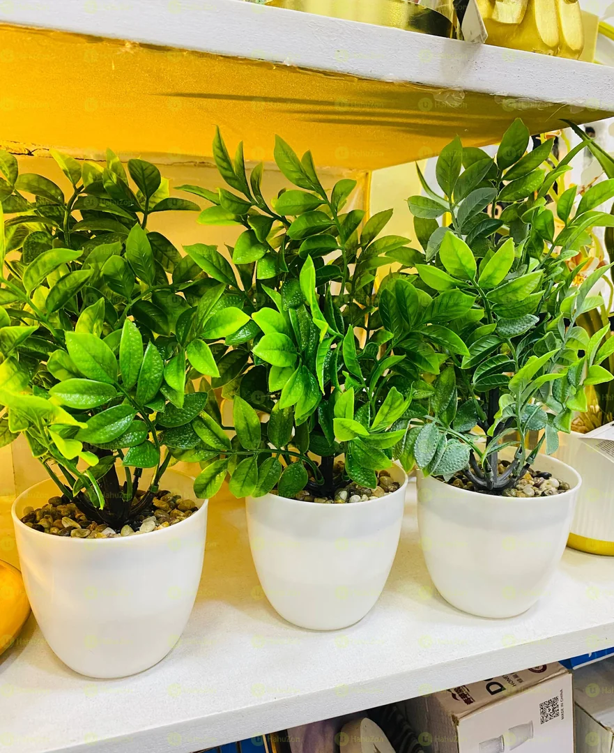 White Plastic Pots With Green Leaf