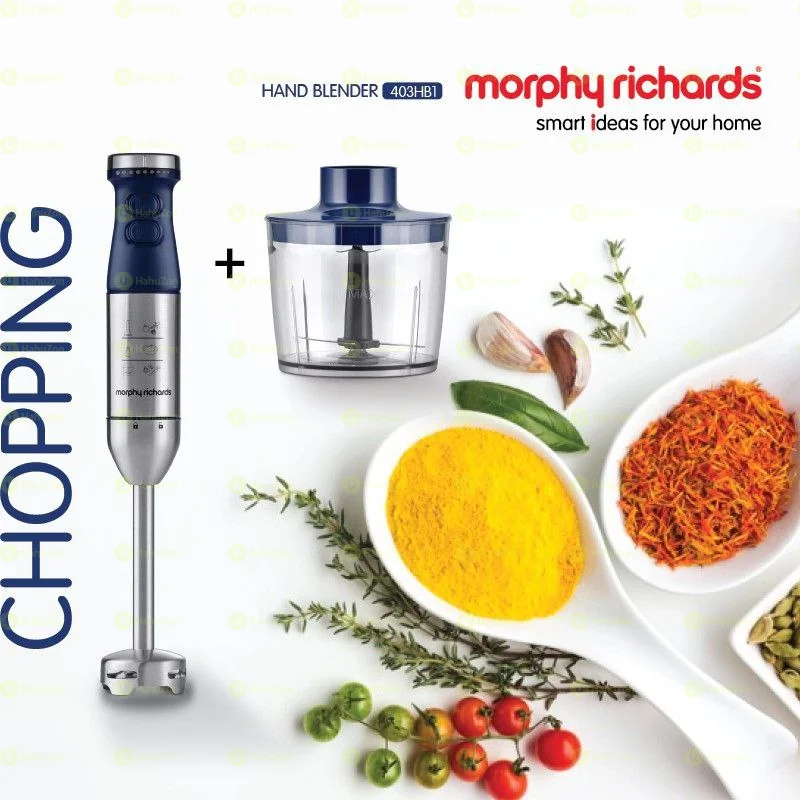 Royalmaster Professional 4-in-1 Hand Blender