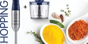 Royalmaster Professional 4-in-1 Hand Blender