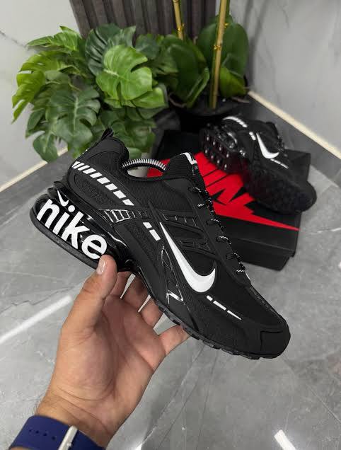 Nike Air Max Sneaker