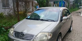 2003 Model-Toyota Corolla