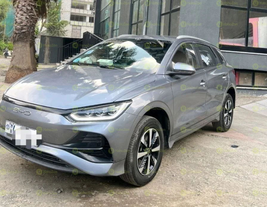 2024 Model-BYD E2