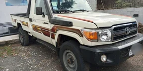 2011 Model-Toyota LandCruiser Pick Cup