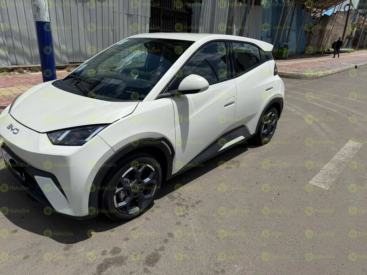 2024 Model-BYD Seagull