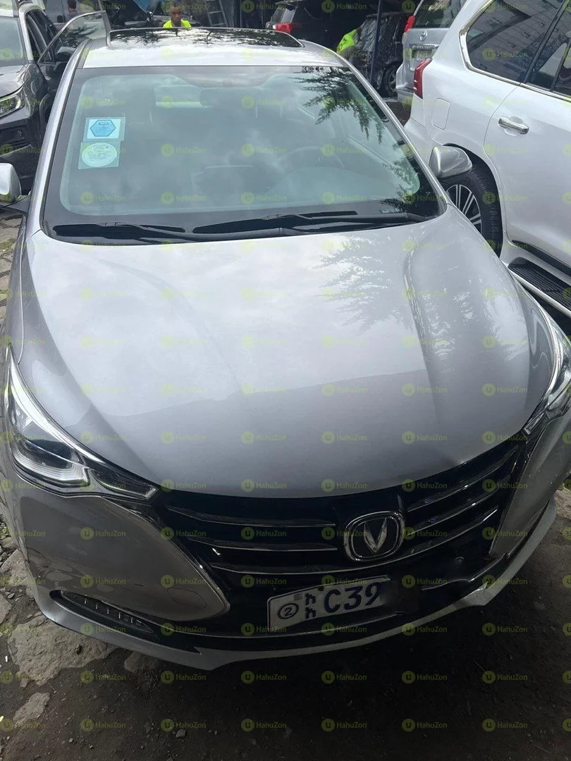 2022 Model-Changan AlSVIN