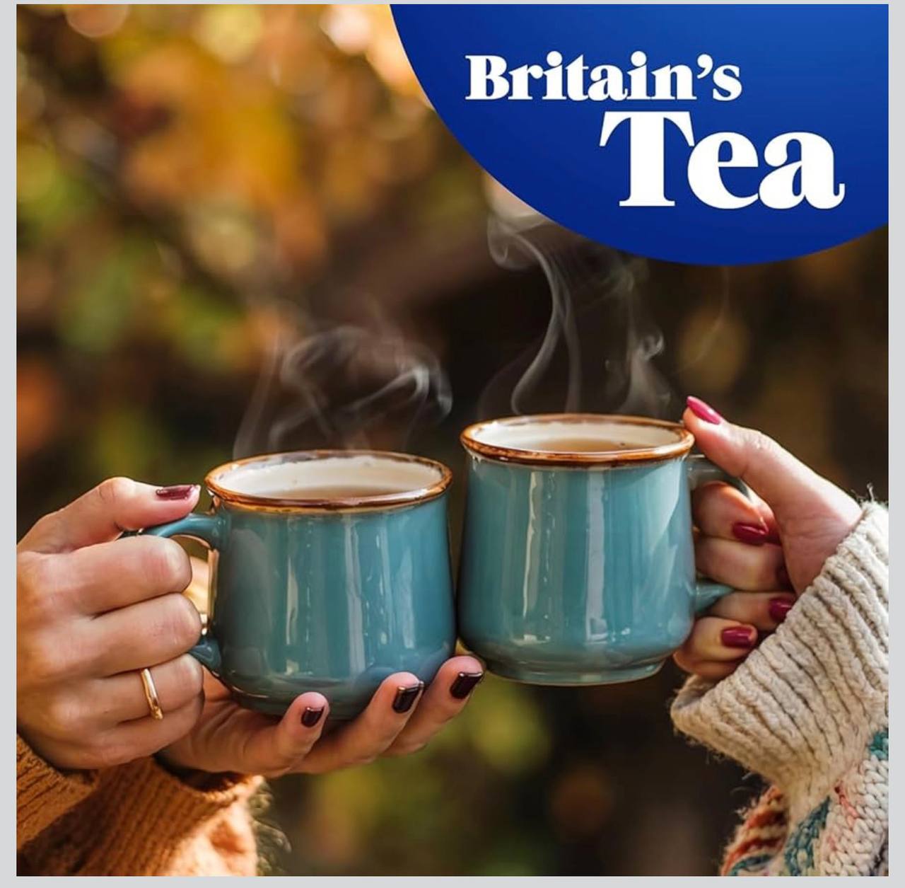 Tetley Original Tea Bags 240
