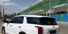 2017 Model-Hyundai Palisade