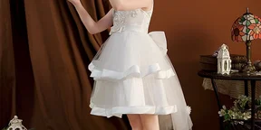Kids Girl Lace Embroidered Party Dress