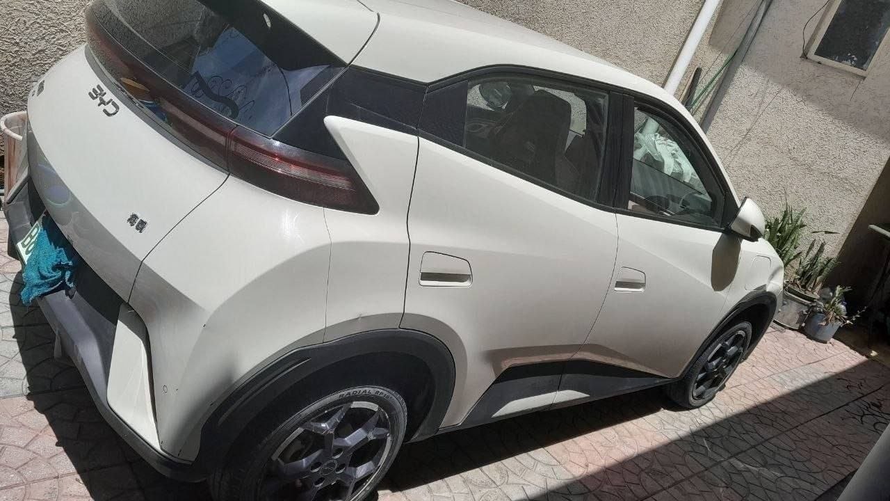 2005 Model-BYD Seagull