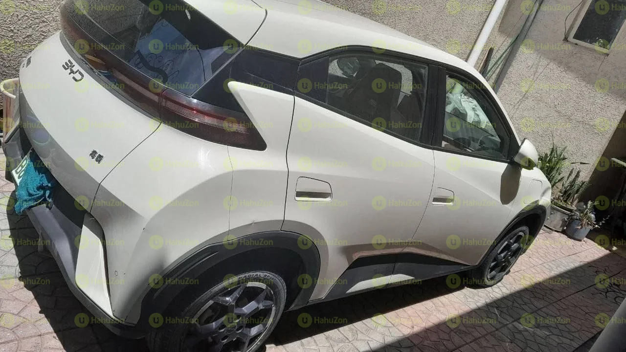 2005 Model-BYD Seagull