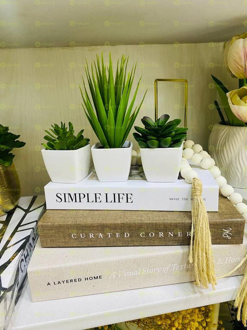 Set of 3 Mini Plant
