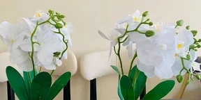 Golden Stand Orchid Flower Vase