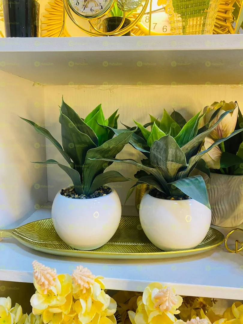 Ceramic White Plant