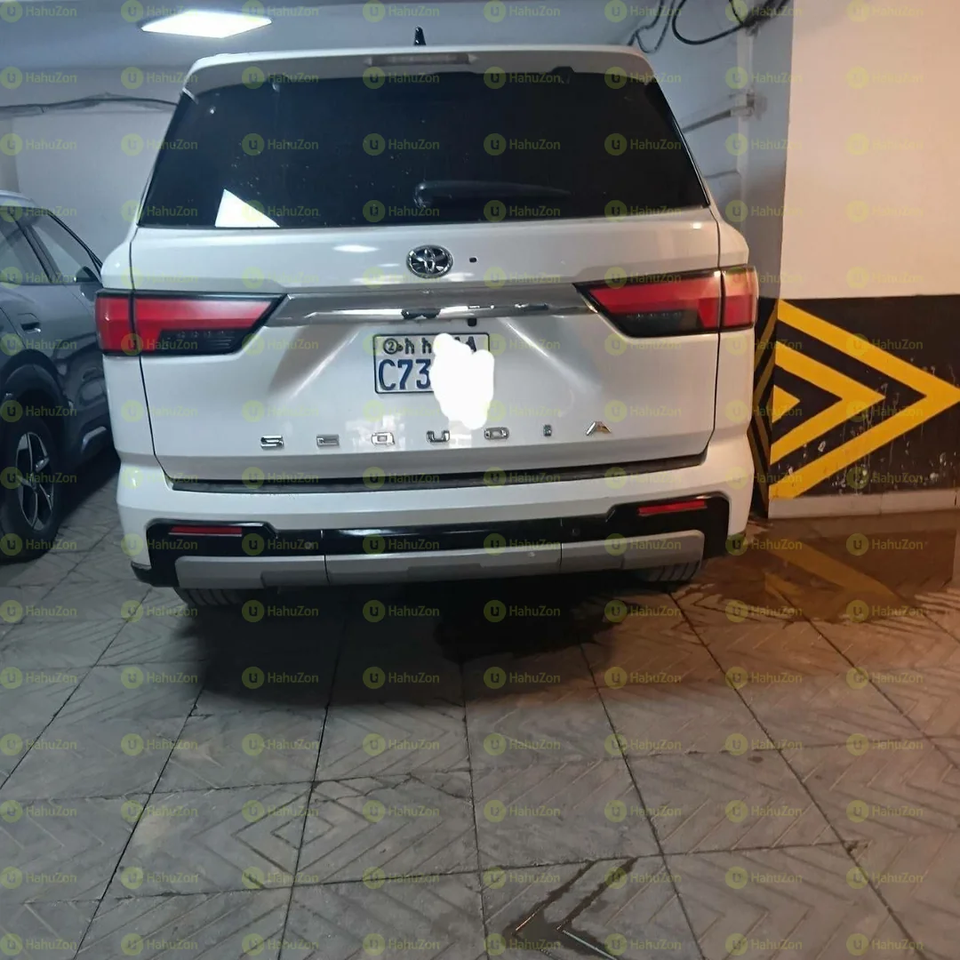 2008 Model-Toyota Hybrid Capstone