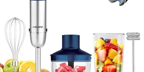 Royalmaster Professional 4-in-1 Hand Blender