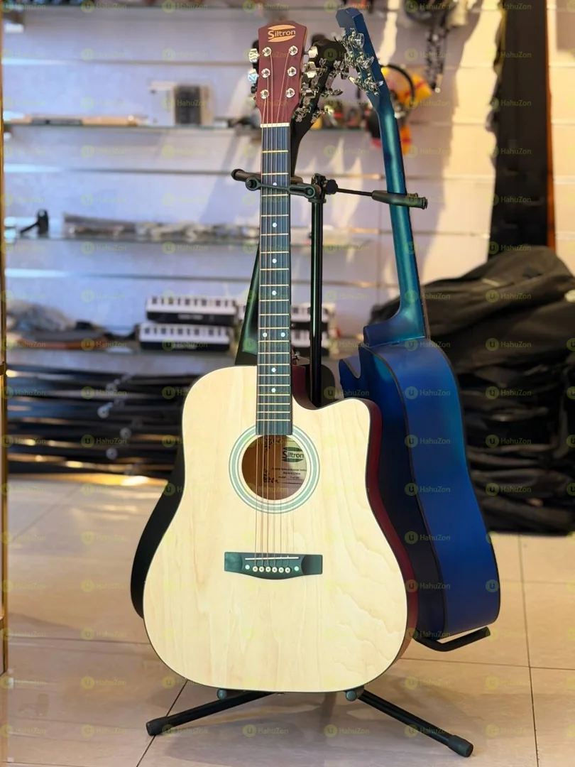 Siltron GuItar