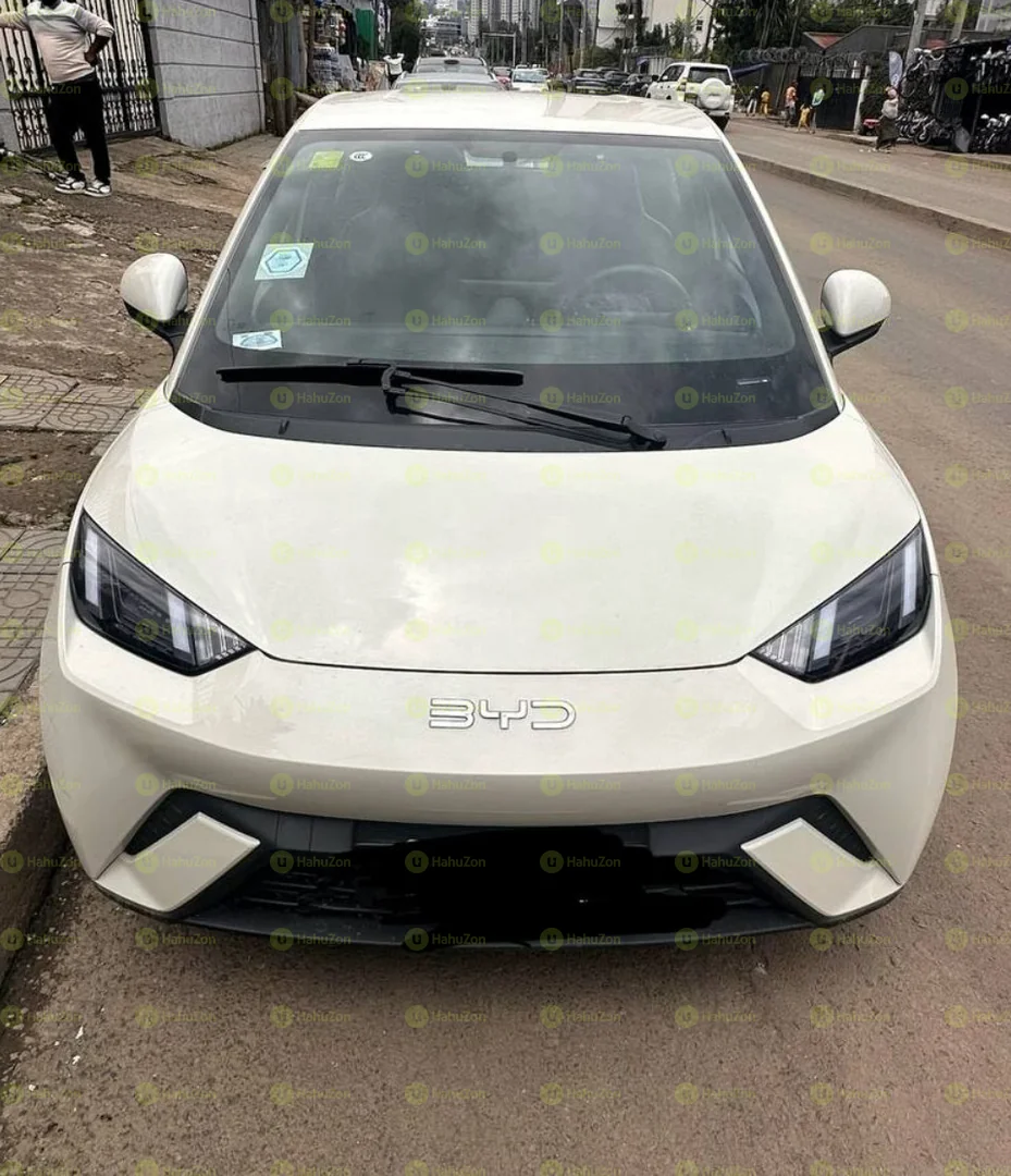 2025 Model-BYD Seagull