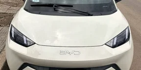 2025 Model-BYD Seagull