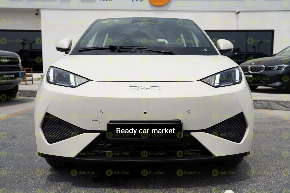 2025 Model-BYD Seagull