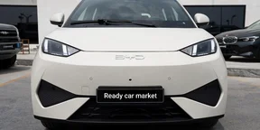 2025 Model-BYD Seagull