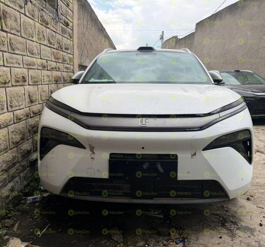 2025 Model-Tang L Hybrid