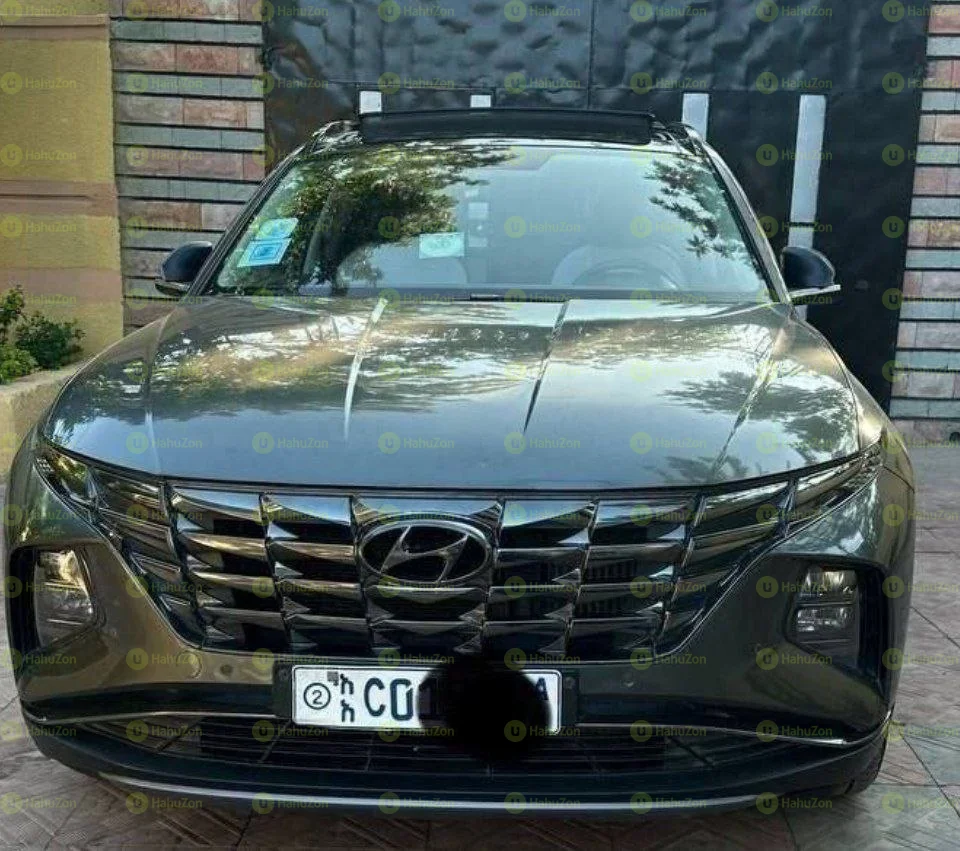 2022 Model-Hyundai Tucson