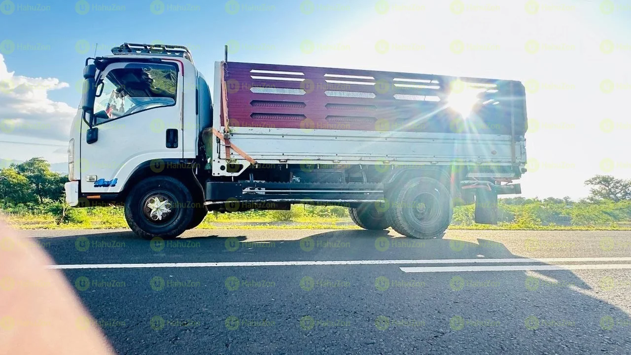 2004 Model-Isuzu Obama