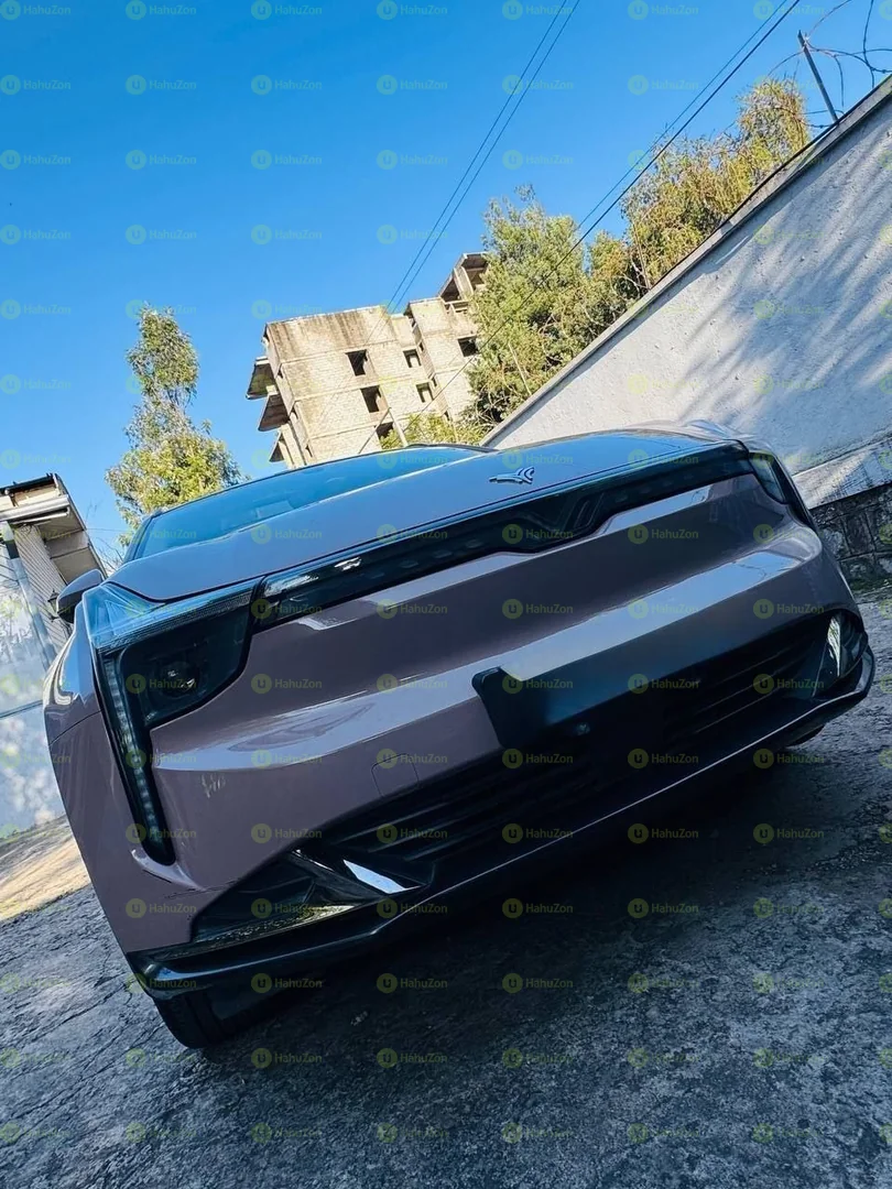 2023 Model-Hozon NETA U