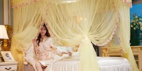 Romantic Mosquito Net