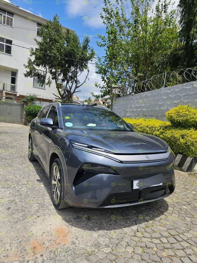 2022 Model-BYD TANG L