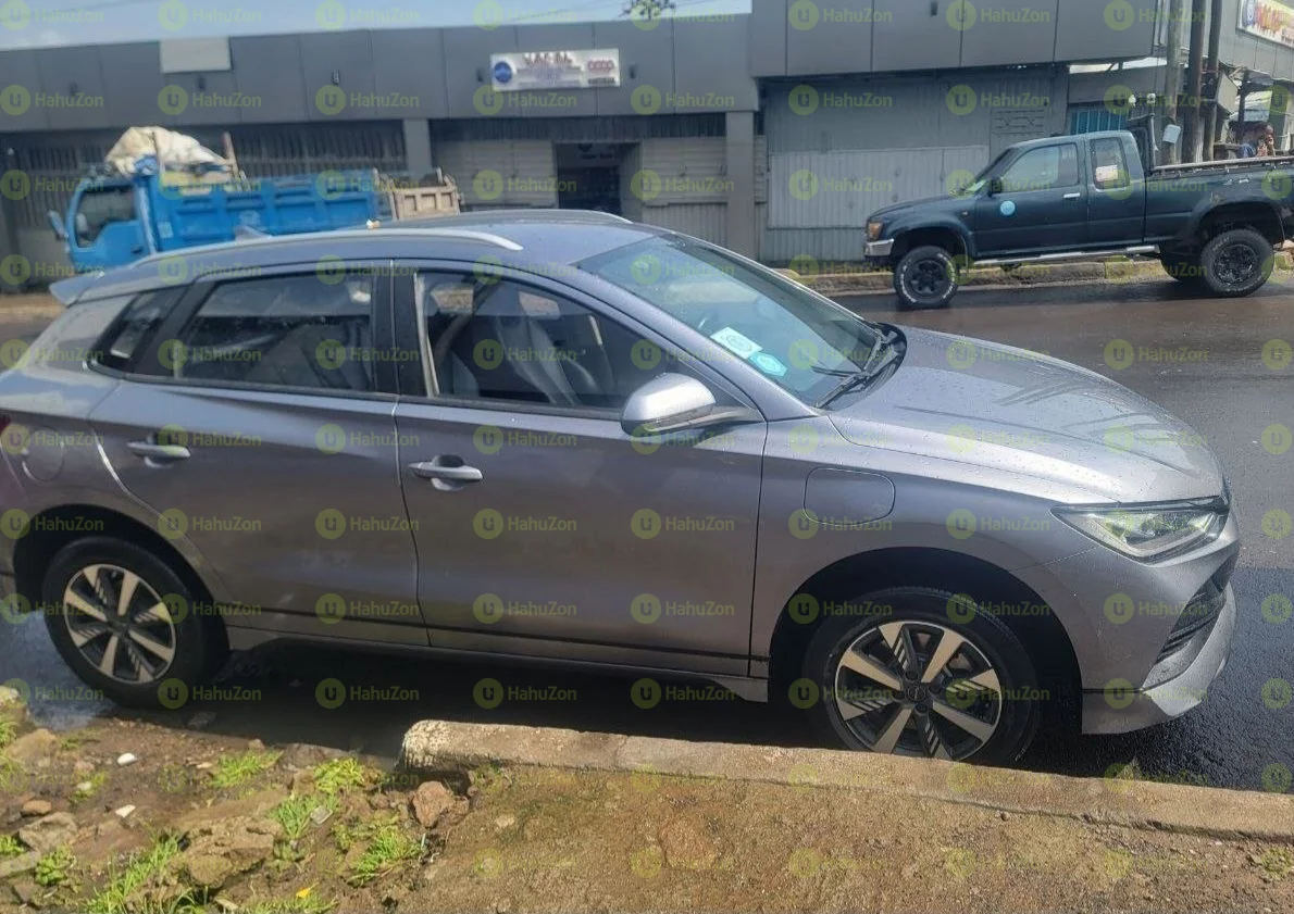 2025 Model-BYD E2
