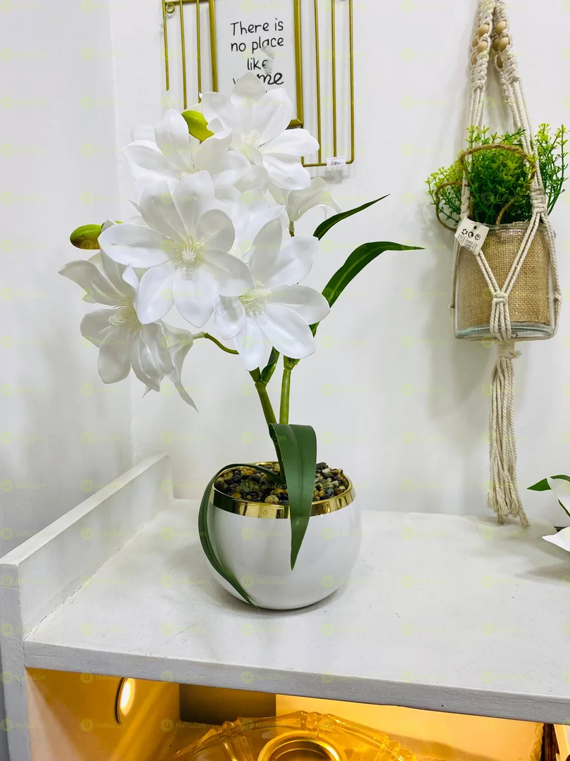 Ceramic Round Pots