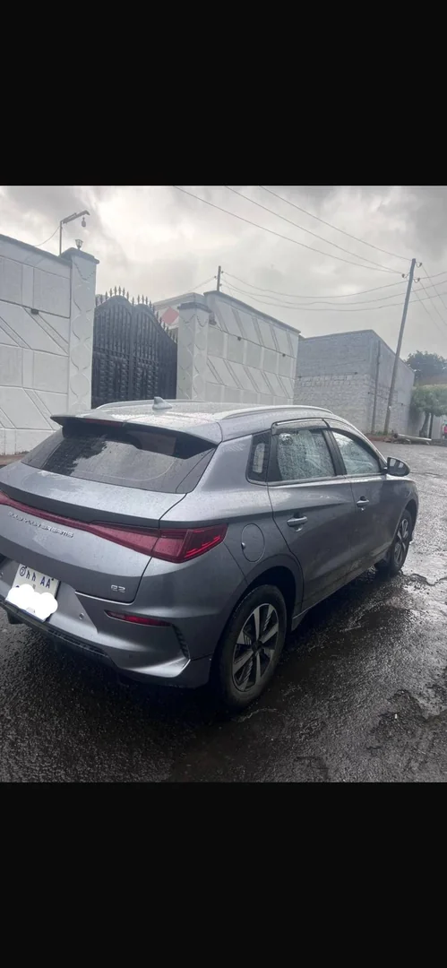 2024 Model-BYD E2