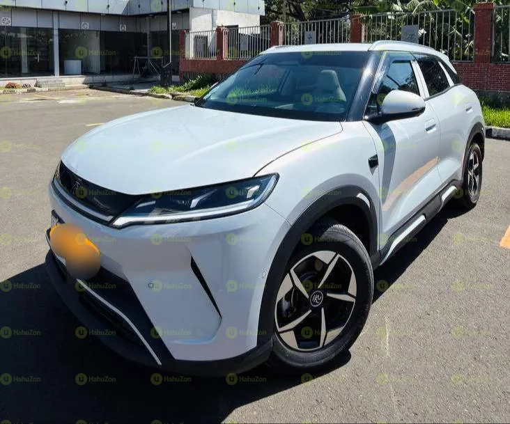 2025 Model-BYD Yuan Up smart