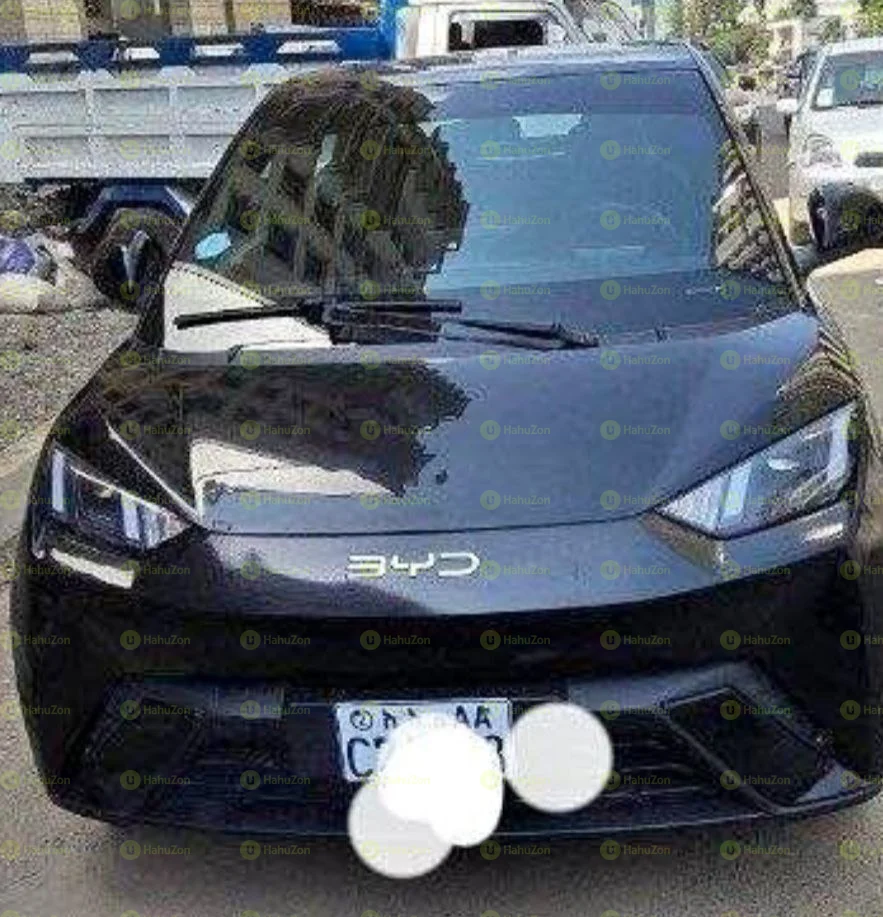 2025 Model-BYD Seagull