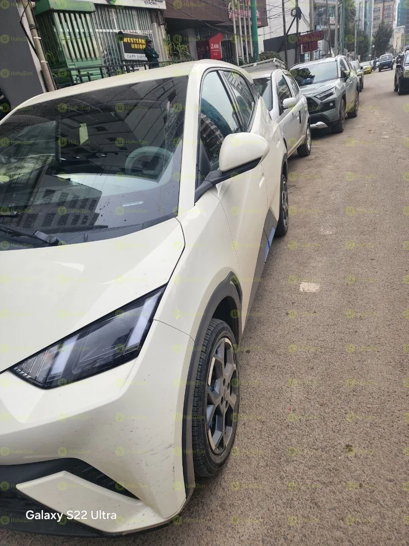 2024 Model-BYD Seagull