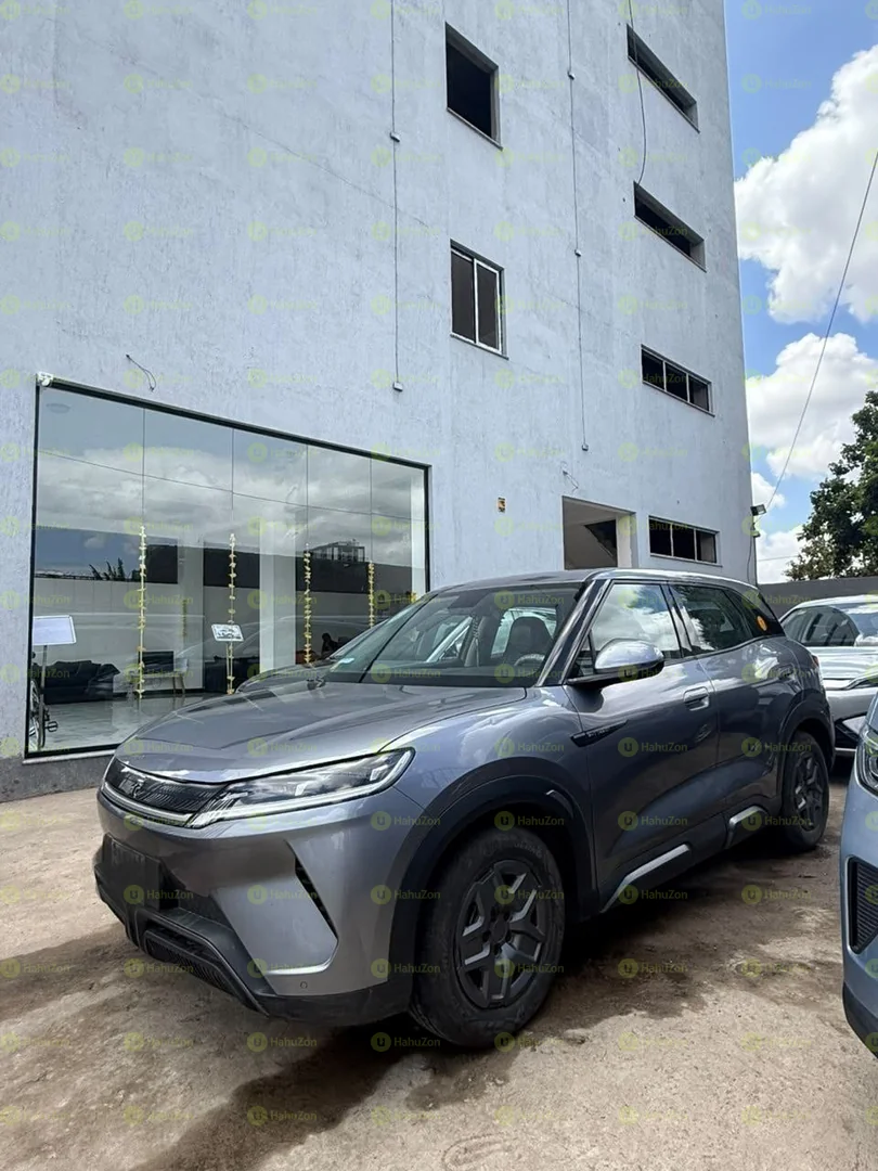 2024 Model-BYD Yuan UP