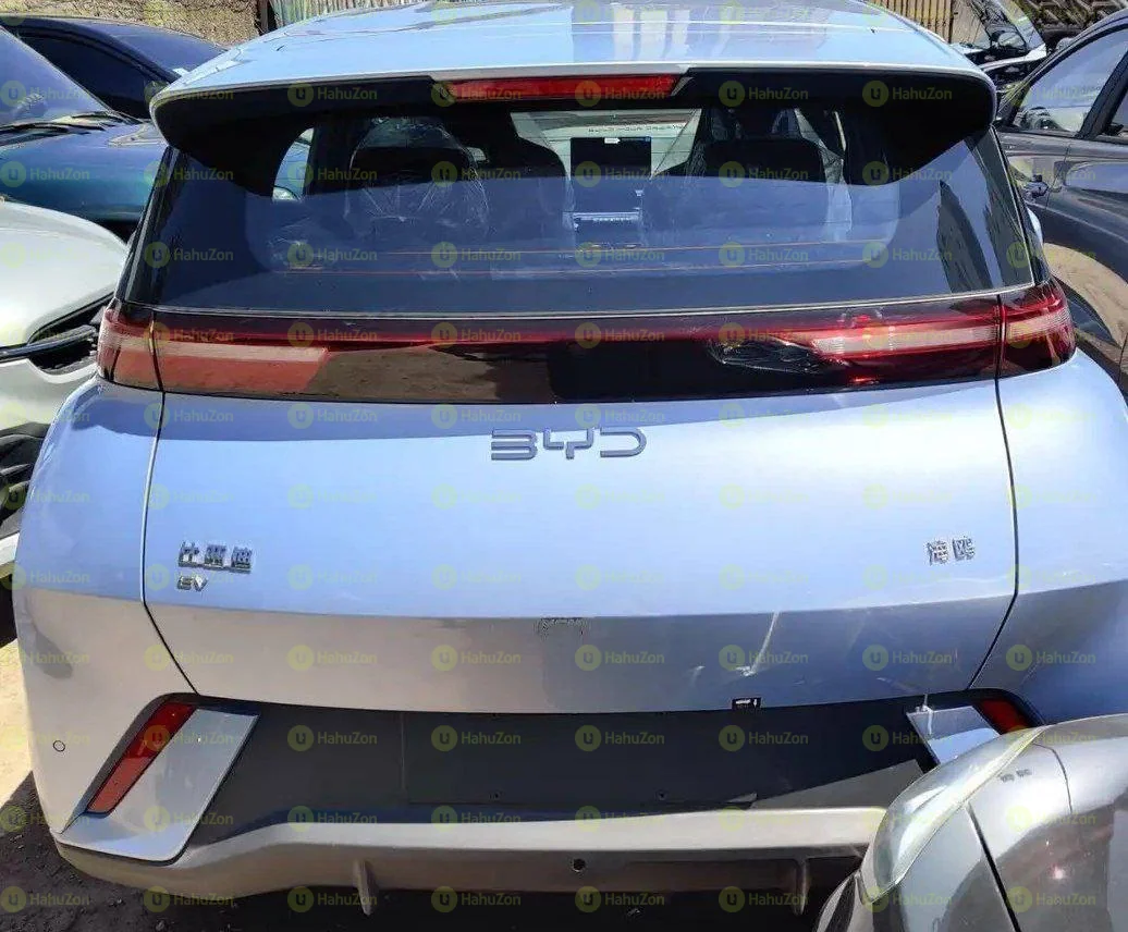 2025 Model-BYD Seagull