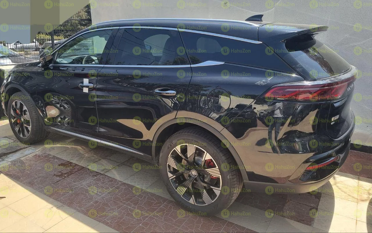 2024 Model-BYD BYD