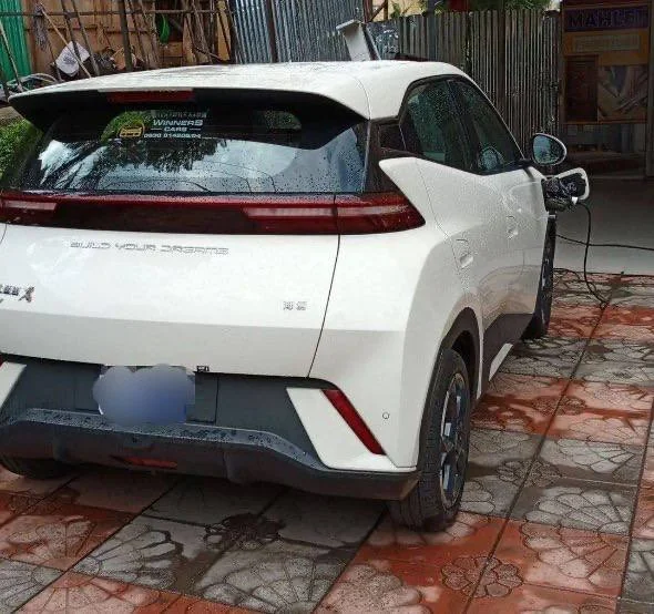 2024 Model-BYD Seagul