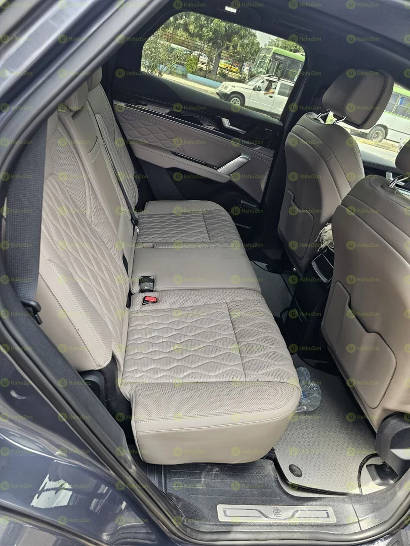 2024 Model-BYD Tang