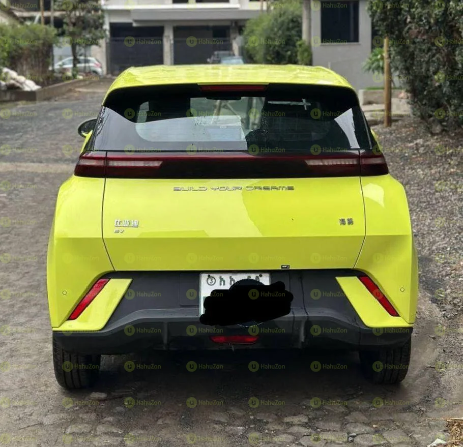 2024 Model-BYD Seagull