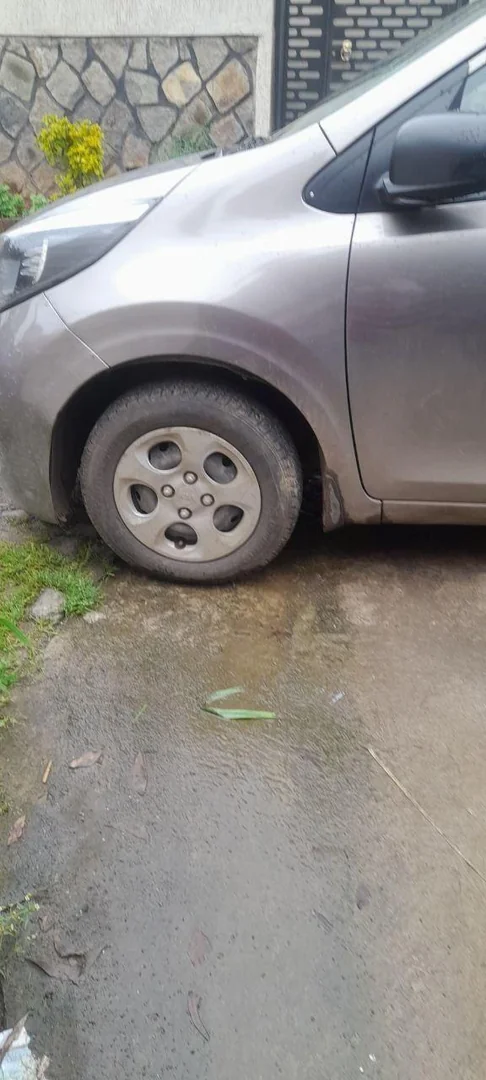 2021 Model-Kia Picanto