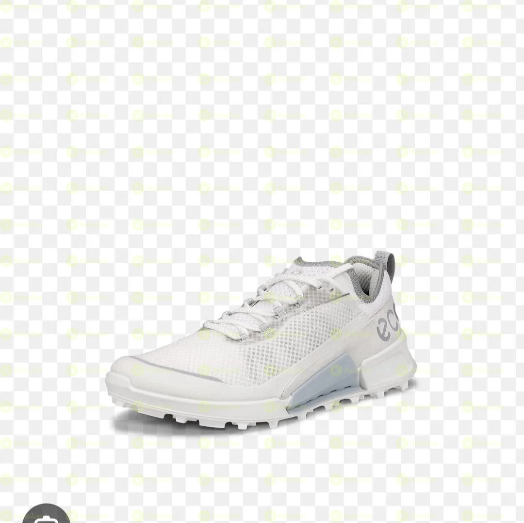 Ecco Vietnam Men’s Shoes